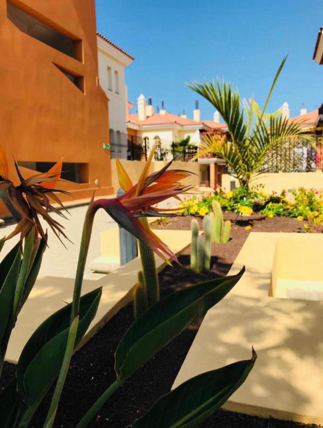 Selena Luxury Monte Carrera Lägenhet La Playa de Arguineguín Exteriör bild